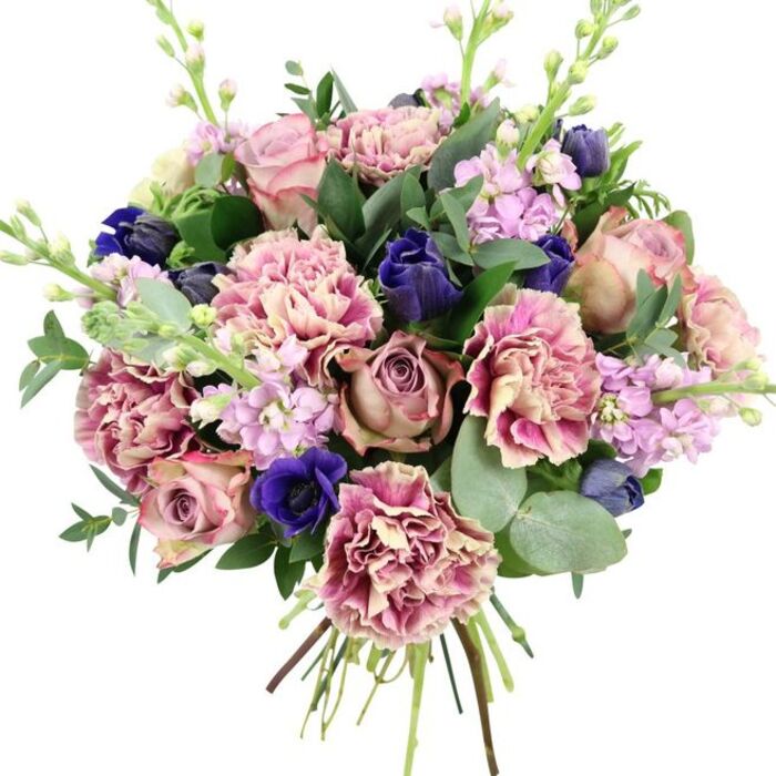 A beautifully composed hand-tied bouquet stands out against a plain white background, every bloom carefully placed to create a sense of gentle movement and layered colour, much like a curated display in a welcoming Abbey Wood sitting room. At the centre, generous garden roses in dusty blush pink and muted antique mauve unfurl in tight spirals, their velvety petals overlapping to form a romantic focal cluster. Around them, abundant ruffled carnations in soft cream and blush gradually deepen to rosy and plum-pink tones along their fringed edges, building billowy texture and a sense of fullness. Deep indigo blooms, reminiscent of closed tulip or anemone buds, thread through the design, offering confident, jewel-bright contrast. At the front, an open royal blue anemone with a dark, almost black centre draws the gaze, acting like a bold exclamation point within the softer palette. Slim stems of pale lilac and lavender stock rise delicately above and between the larger flowers, their numerous small blossoms adding height, airiness, and the suggestion of a light, sweet fragrance drifting through an open window. The bouquet is framed by a rich collar of greenery: dark green rose foliage lends depth and structure, while rounded, silvery eucalyptus leaves introduce cool tones and a soft, aromatic freshness that calls to mind the nearby woodland paths of Abbey Wood. At the base, the gathered stems are neatly visible, revealing a freshly tied arrangement, handcrafted and ready for local delivery across SE2 by Florist Abbey Wood. With its balanced mix of pink, purple, and blue hues, this bouquet feels ideal for weddings, anniversaries, or meaningful celebrations that call for quietly luxurious flowers.