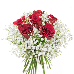Set off by a flawless white background that conjures the serenity of Abbey Wood's parkland mornings, this thoughtfully handcrafted bouquet exudes both passion and gentleness. At its heart, six sumptuous red roses bloom in near-perfection-each petal rich and velvety, spiraled in graceful symmetry that hints at lasting affection and timeless devotion. The roses' saturated crimson is dramatically enhanced by the surrounding gypsophila, whose myriad tiny white blossoms create a misty veil, softening the boldness of each flower. This cloud of baby's breath recalls the soft haze over Abbey Wood in early spring, an elegant touch that elevates the arrangement's emotional resonance. The long, verdant stems-clearly visible beneath the cascading blooms-speak of professional care and local expertise, bound tightly to preserve their garden-fresh vitality. The interplay of vivid colour, lush texture, and gentle light makes the bouquet a poetic gesture for anniversaries, special occasions, or moments that call for genuine expression. Available for same-day delivery within Abbey Wood, this beautiful arrangement celebrates the union of craft and emotion, echoing the thoughtful artistry often found along the neighbourhood's bustling streets.
