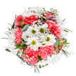 Brimming with gentle joy, this bouquet perfectly captures the refreshing spirit of Abbey Wood in early spring. Pure white daisies sparkle at the center, their radiant petals and emerald green eyes brightening the composition like sunlight streaming through the ancient trees of Lesnes Abbey Woods. Coral-pink carnations surround them, delivering plush texture and a wave of warm, inviting color reminiscent of Abbey Wood's blossoming gardens along the Thames. Delicate sprays of gypsophila add floating lightness, each tiny white bloom lending a sense of airiness and relaxed elegance. Blush-tinted alstroemeria buds and feathery eucalyptus leaves peek discreetly from the bouquet's edges, offering just a hint of fragrance and subtle contrast. Supported by a lush base of rich greenery, this bouquet's balanced, round shape radiates optimism and gentle encouragement-the kind of thoughtful gift Abbey Wood locals might share to celebrate a birthday, congratulate a friend, or simply bring the freshness of the outdoors into a home along McLeod Road. The careful layering and harmonious palette reflect the skill and dedication of florists who know and love the beauty of Abbey Wood, making it a lasting centerpiece for any special moment.